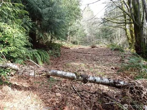 3450 Teal Lake Rd, Port Ludlow, WA 98365