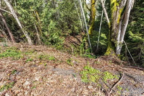 430 E Lombard Rd, Grapeview, WA 98546 photo 22