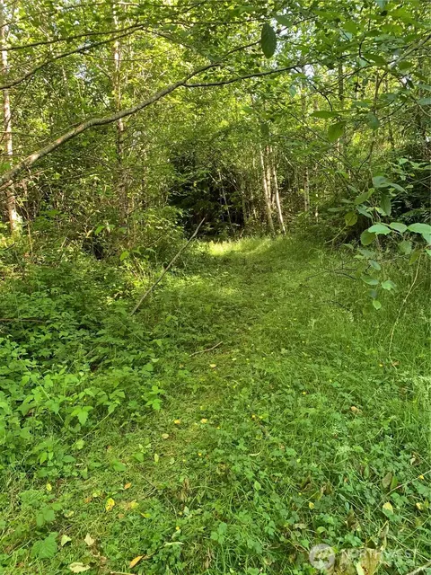2 Tract Parpala Rd, Naselle, WA 98638