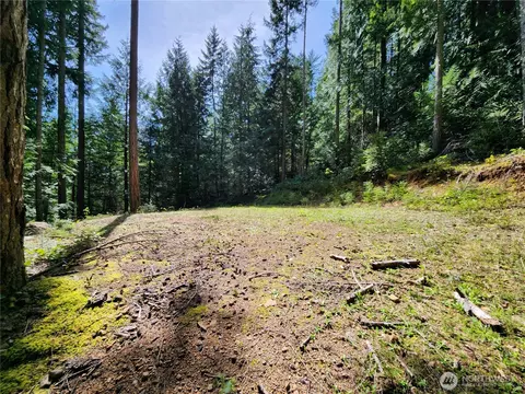 0 Hwy 101, Brinnon, WA 98320 photo 12