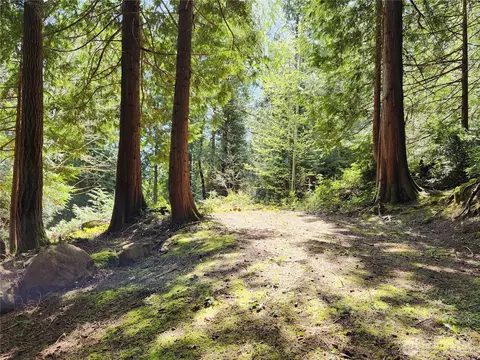 0 Hwy 101, Brinnon, WA 98320 photo 8