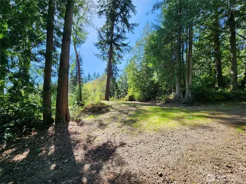 0 Hwy 101, Brinnon, WA 98320 photo 5