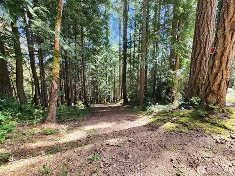 0 Hwy 101, Brinnon, WA 98320 photo 11