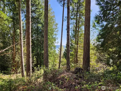 0 Hwy 101, Brinnon, WA 98320 photo 7