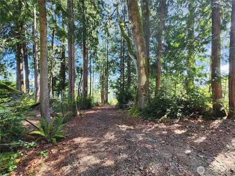 0 Hwy 101, Brinnon, WA 98320 photo 4