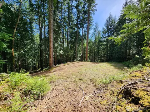 0 Hwy 101, Brinnon, WA 98320 photo 10