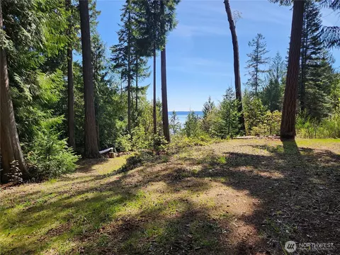 0 Hwy 101, Brinnon, WA 98320 photo 15