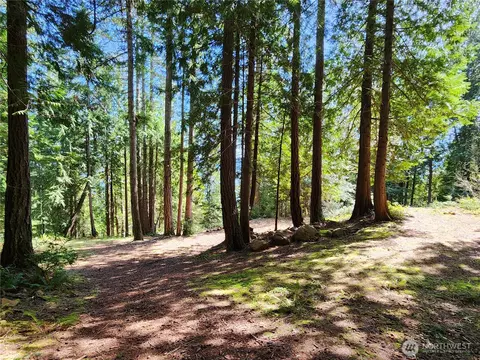 0 Hwy 101, Brinnon, WA 98320 photo 9