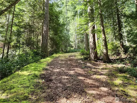 0 Hwy 101, Brinnon, WA 98320 photo 13