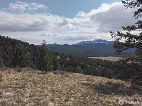 26 Mule Deer Ridge Rd, Oroville, WA 98844