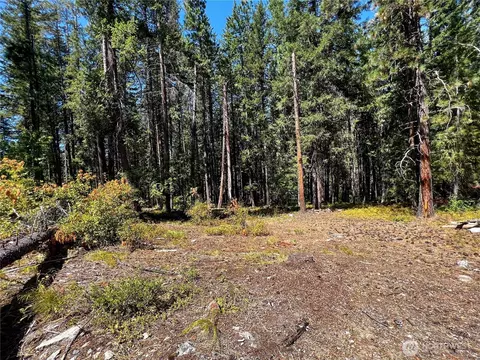 37 Noble Ln, Leavenworth, WA 98826