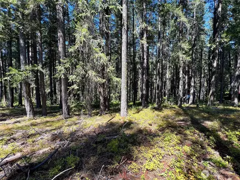 19 Noble Ln, Leavenworth, WA 98826