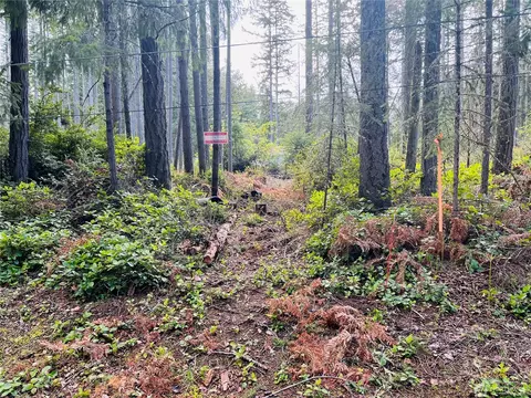 10306 Port Pl, Anderson Island, WA 98303