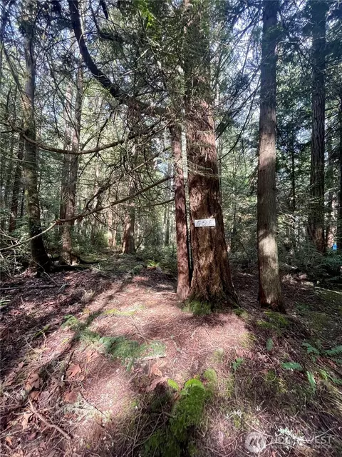 5366 NE Old Mill Rd, Bainbridge Island, WA 98110