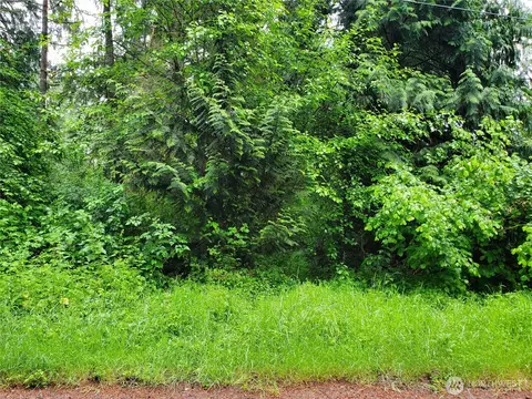 10607 Edgewood Dr #LOT 4&5, Anderson Island, WA 98303