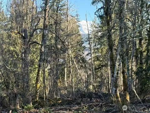 29512 152nd Ave E, Graham, WA 98338
