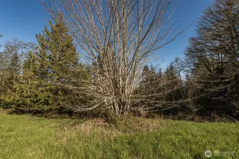 999 Ravens Ridge Rd, Sequim, WA 98382 photo 24