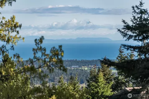 999 Ravens Ridge Rd, Sequim, WA 98382 photo 9
