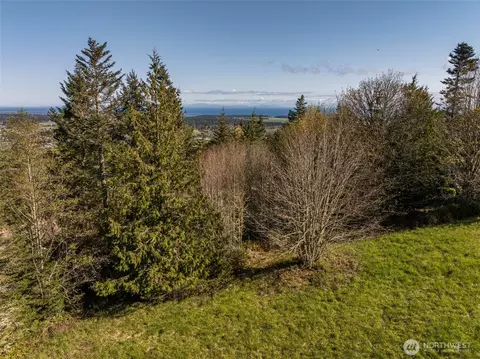 999 Ravens Ridge Rd, Sequim, WA 98382 photo 10