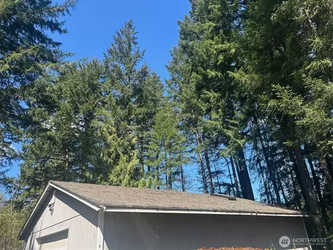 1400 E Rasor Rd, Belfair, WA 98528 photo 3