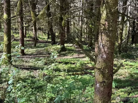 27403 114th Ave E, Graham, WA 98338