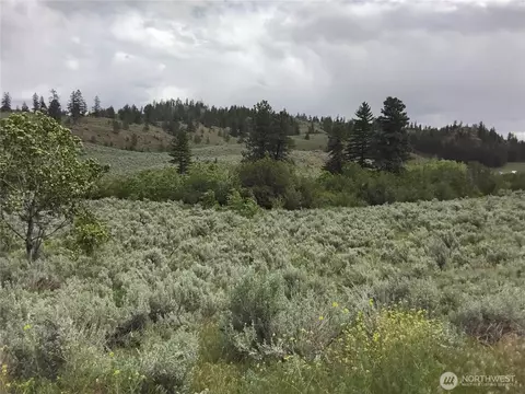 44 Palmer Mountain Rd, Oroville, WA 98844