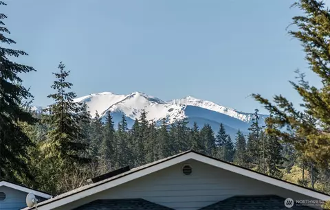 25 Michelle Ln, Sequim, WA 98382 photo 6