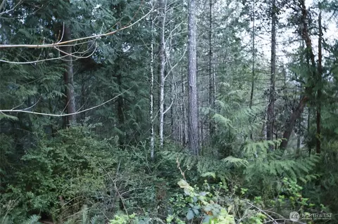 0 Tax Id Apt 932100615 93210061, Brinnon, WA 98320