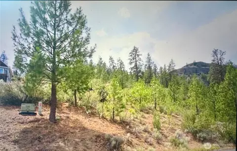 16420 Jones Rd E, Wilbur, WA 99185