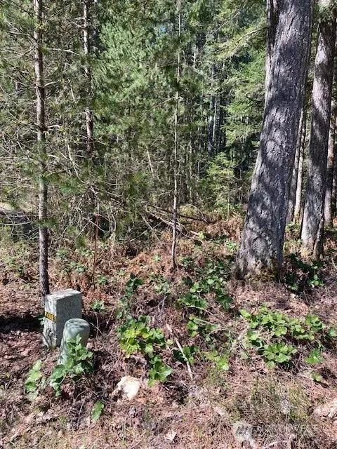 131 N Rainbow Way, Hoodsport, WA 98548