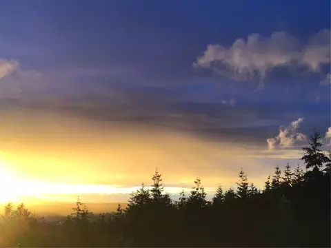 20555 Benson Ridge Ln, Mount Vernon, WA 98274