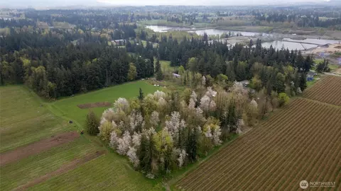 1822 E Pole Rd, Everson, WA 98247 photo 16