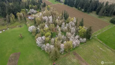 1822 E Pole Rd, Everson, WA 98247 photo 18