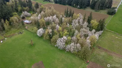 1822 E Pole Rd, Everson, WA 98247 photo 20