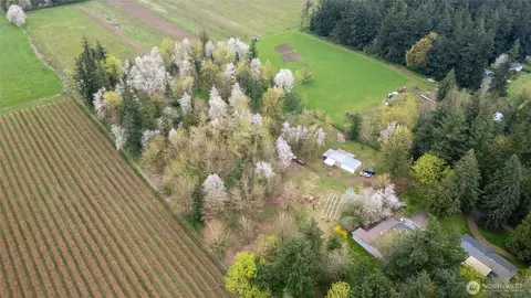 1822 E Pole Rd, Everson, WA 98247 photo 12