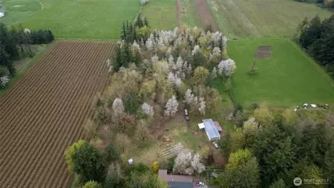 1822 E Pole Rd, Everson, WA 98247 photo 11