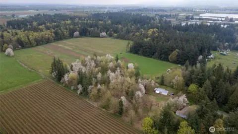 1822 E Pole Rd, Everson, WA 98247 photo 13