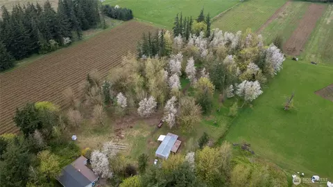 1822 E Pole Rd, Everson, WA 98247 photo 9