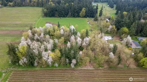 1822 E Pole Rd, Everson, WA 98247 photo 14