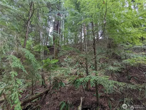 14 Black Bear Ct #A, Bellingham, WA 98229