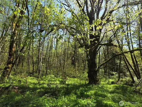 0 Mill Falls Ln, Longview, WA 98632