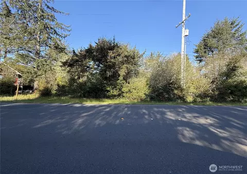 549 Dolphin Ave NE, Ocean Shores, WA 98569