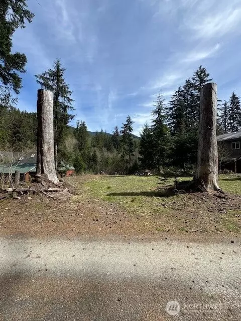 11101 Riverview Dr E, Greenwater, WA 98022