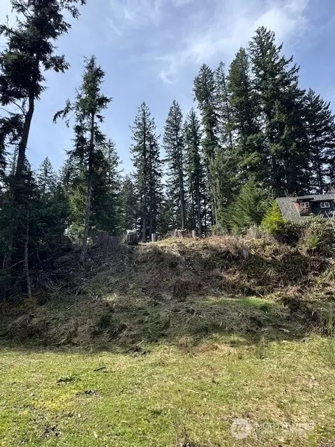 11101 Riverview Dr E, Greenwater, WA 98022 photo 2