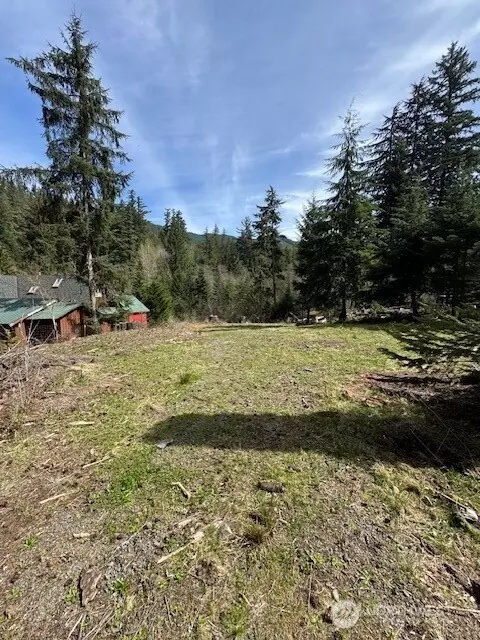 11101 Riverview Dr E, Greenwater, WA 98022 photo 4