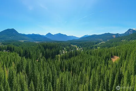 0 Lot 1 Sasquatch Ln, Packwood, WA 98361