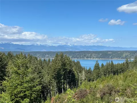 View/Area - 131 E Vine Maple Ln, Union, WA 98592 photo 4 of 4