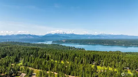 View/Area - 131 E Vine Maple Ln, Union, WA 98592 photo 3 of 4