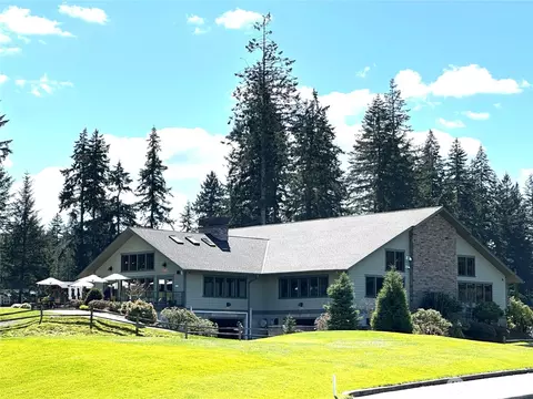 Exterior - 131 E Vine Maple Ln, Union, WA 98592 photo 9 of 12