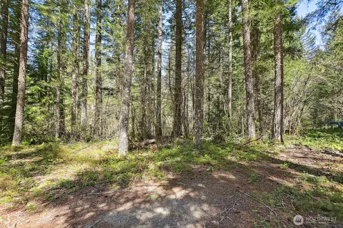52 Foster Rd, Carson, WA 98610